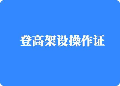 骚逼好痒视频登高架设操作证