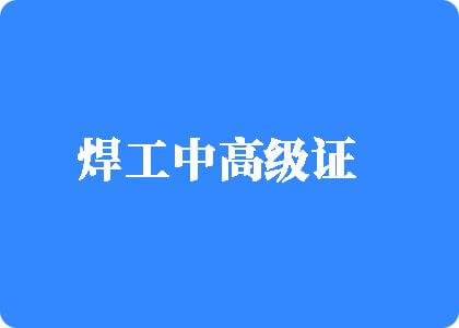 啊啊啊鸡吧好粗要干死骚逼了焊工中高级证